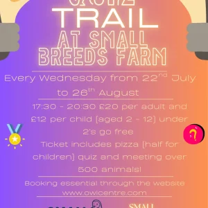 Summer Quiz Trails