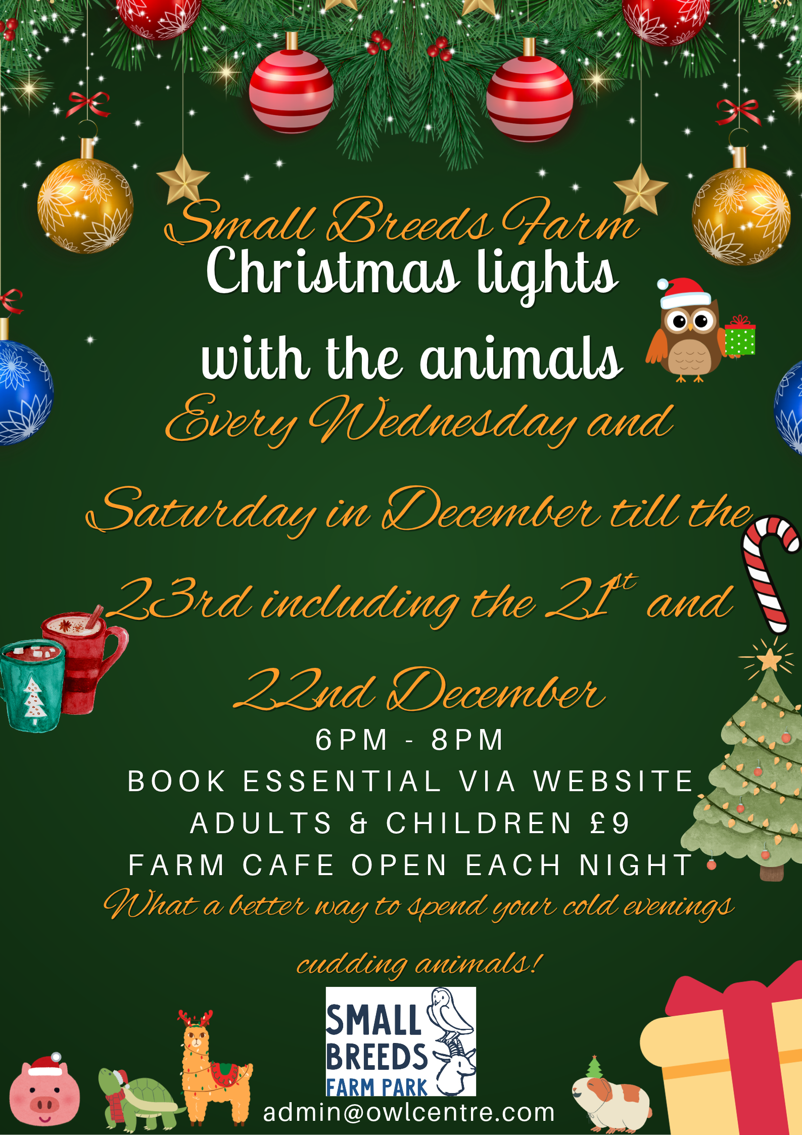 Christmas Lights With The Animals